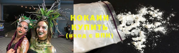 spice Дмитриев