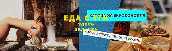 spice Дмитриев