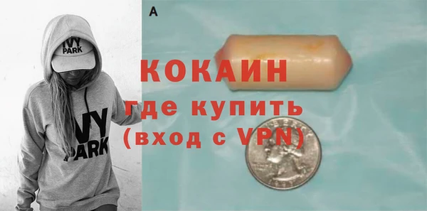 spice Дмитриев