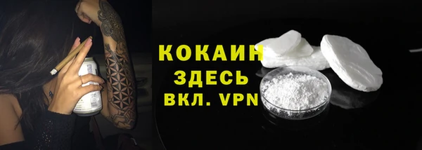 spice Дмитриев