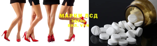 spice Дмитриев