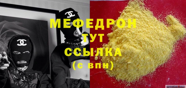 spice Дмитриев