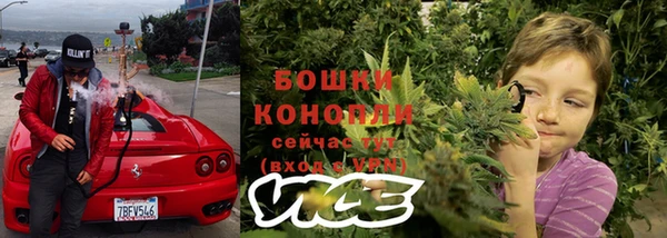spice Дмитриев
