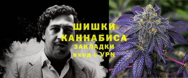 spice Дмитриев