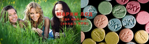 spice Дмитриев