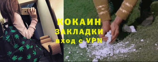 spice Дмитриев