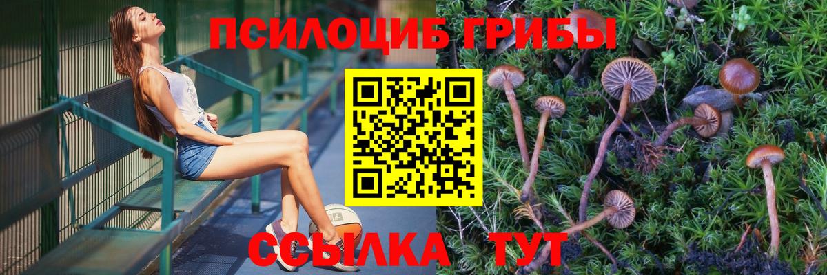 Златоуст  Галлюциногенные грибы мухоморы  Вход с VPN  Галлюциногенные грибы прущие грибы 